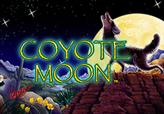 Coyote Moon Slot