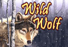 Wild Wolf Slot